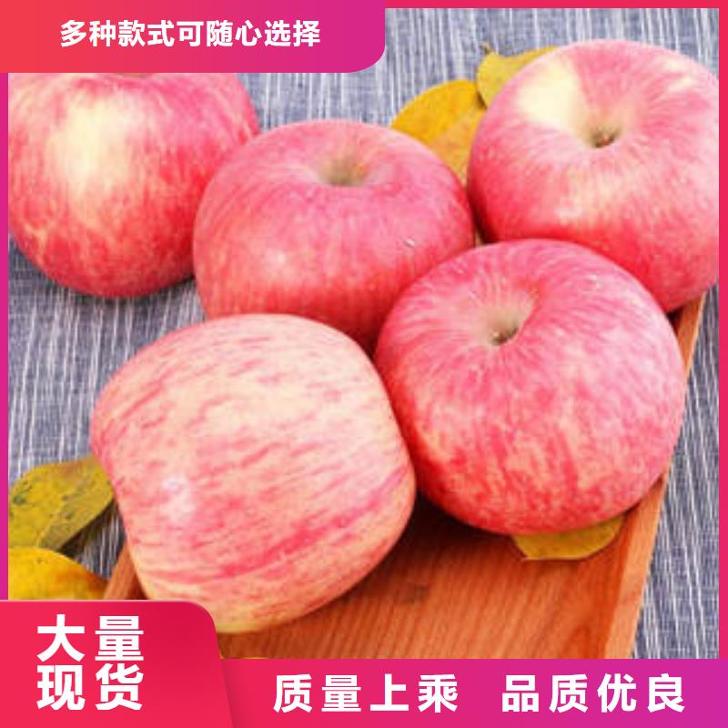 周边(景才)红富士苹果苹果种植基地供应采购