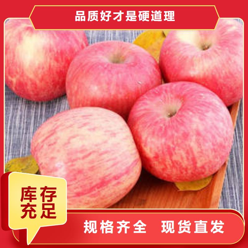 选购{景才}红富士苹果 红富士苹果批发的简单介绍