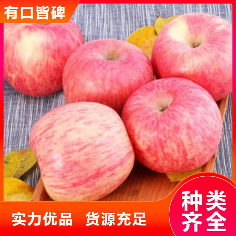 <景才>商丘苹果
生产基地