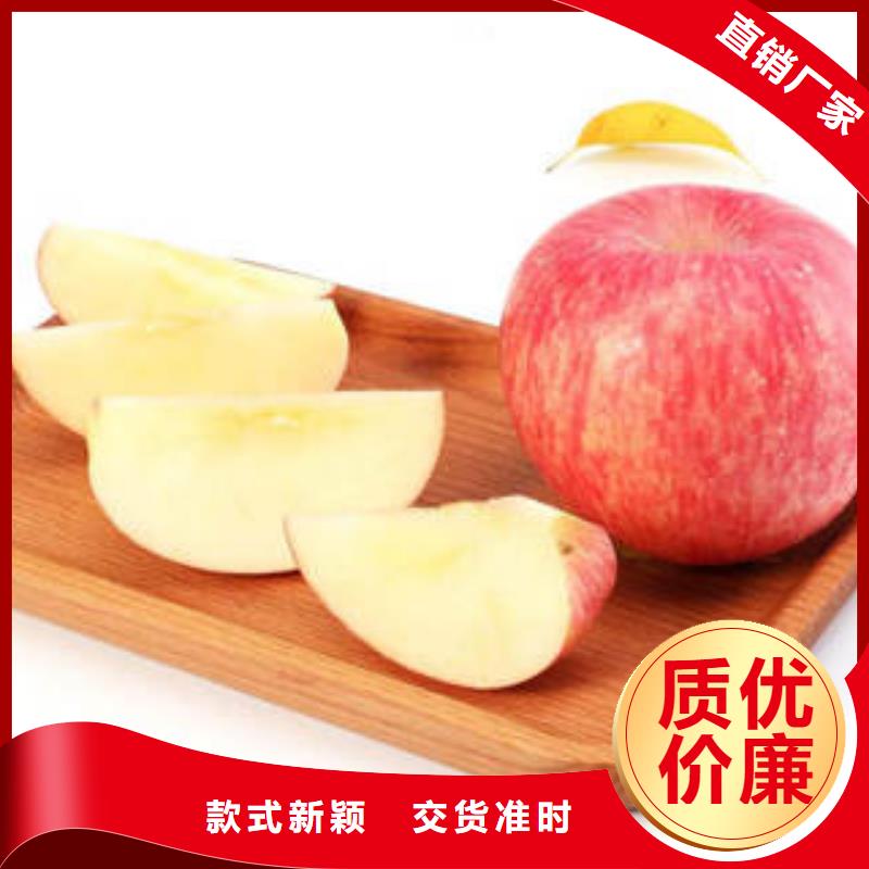 厂家直销大量现货<景才>红富士苹果苹果种植基地厂家大量现货