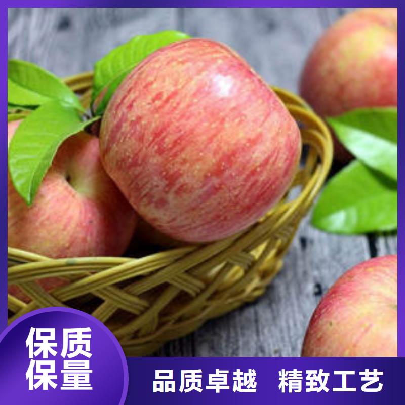 【红富士苹果】,苹果批发现货交易