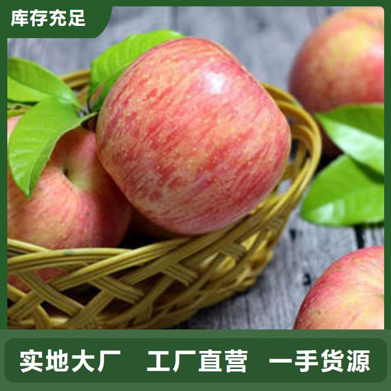 品质有保障【景才】红富士苹果 红富士苹果批发快捷的物流配送