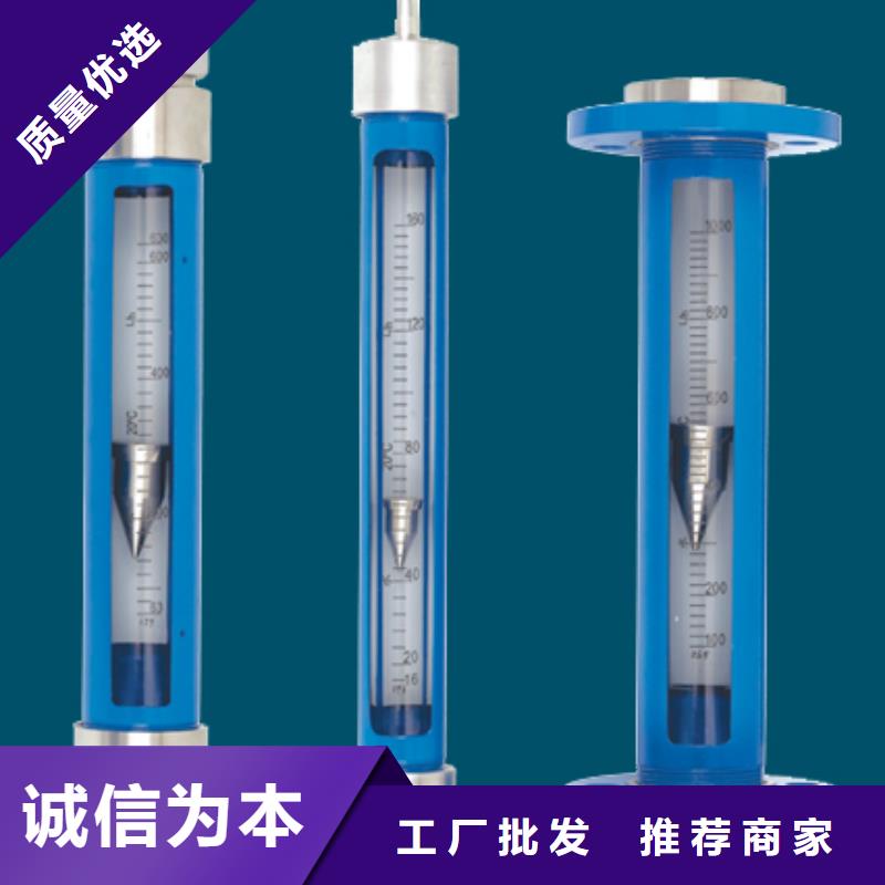 G10空气流量计原厂制造