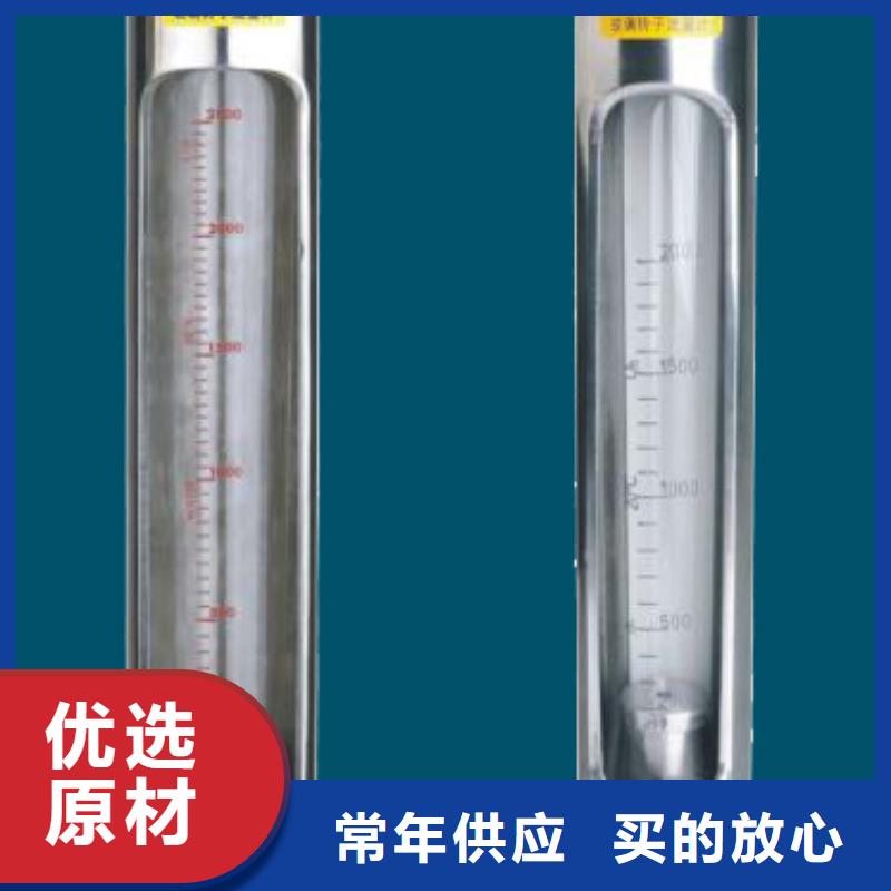 G10空气流量计原厂制造