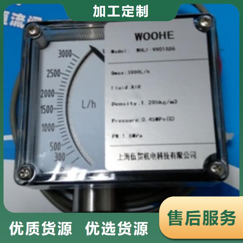 上海伍贺金属转子流量计水最小：0.3~3L/h