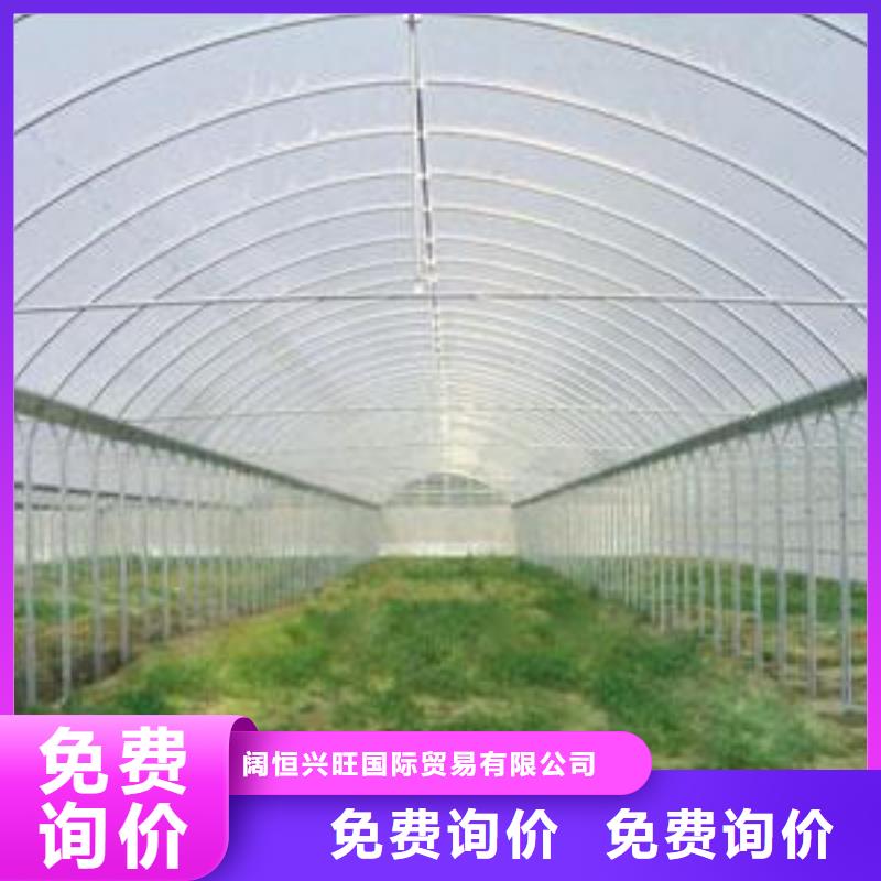 4分6分蔬菜瓜果大棚管可定尺现货全