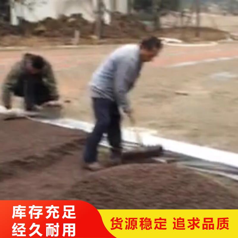 对比：透水路面具体做法