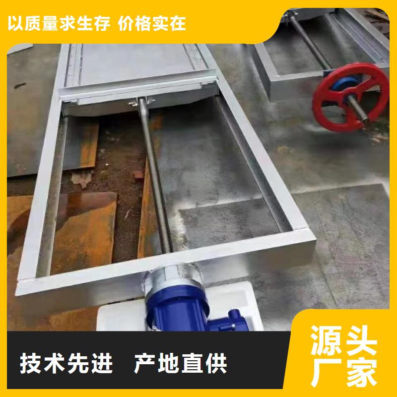 精选优质材料瑞鑫生产钢制闸门    的当地厂家