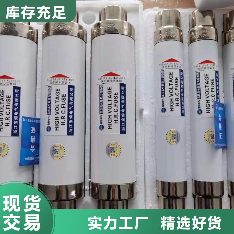 变压器保护用高压限流熔断器XRNT1-3.6KV/125A型号