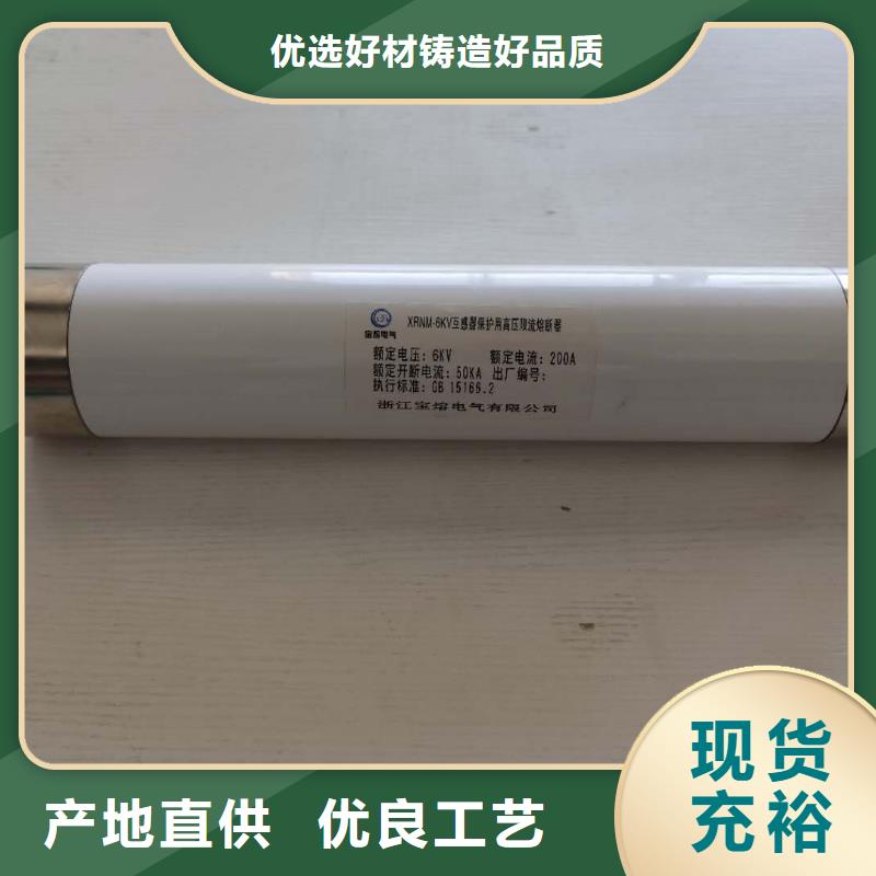 XRNP-40.5KV/1A互感器保护用高压限流熔断器