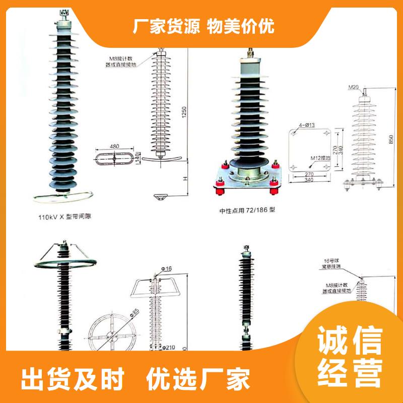 阀式避雷器FZ2-40生产厂家