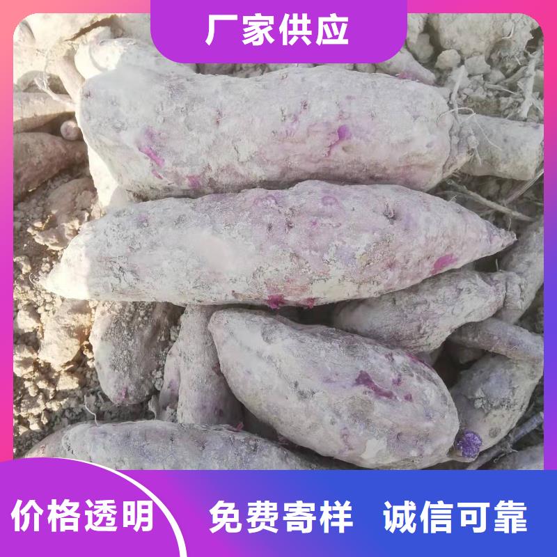 红薯苗（西瓜红）能吃吗