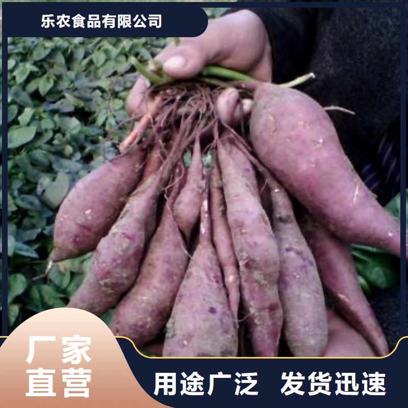 鲜食型紫薯苗欢迎致电