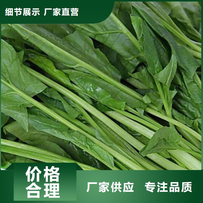 菠菜粉厂家，货源足