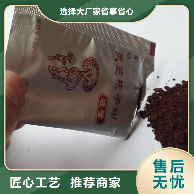 灵芝切片生产厂家