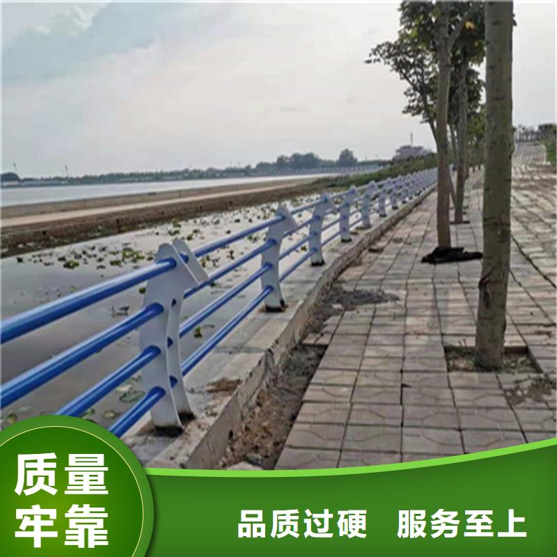 陕西周边【展鸿】钢管烤漆桥梁防撞护栏表面光滑