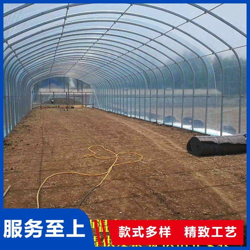 龙潭连栋大棚种植厂家2024