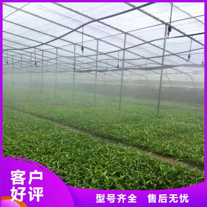 彝良扁钢价格白菜价供应