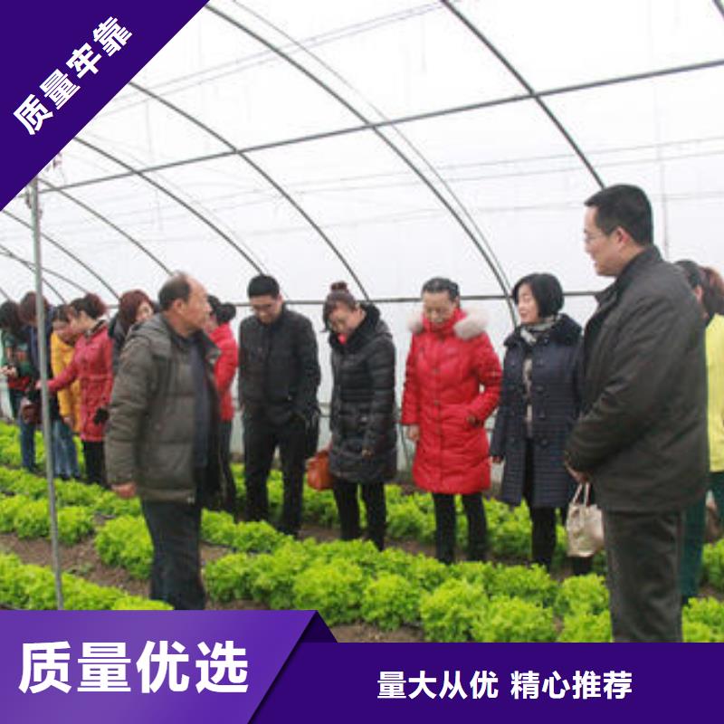 高台县镀锌大棚管蔬菜用大棚骨架农用大棚管可定制定尺折弯