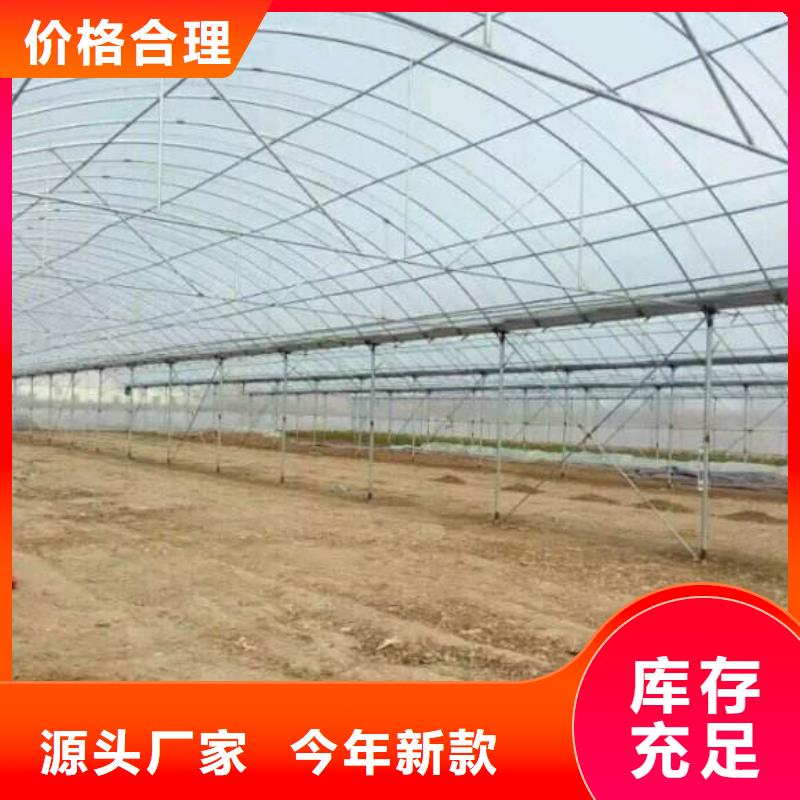 丛台蔬菜大棚管质优价廉2024已更新