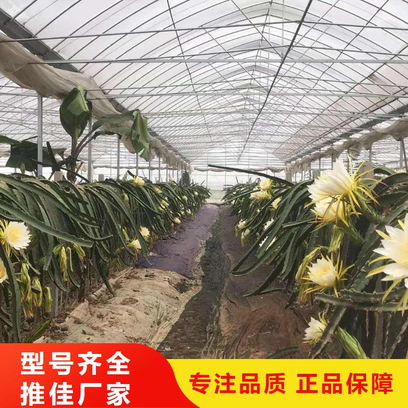 【大棚管温室大棚管工厂现货供应】