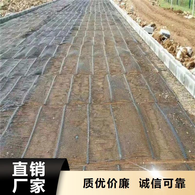 单向拉伸塑料土工格栅直销_单向塑料土工格栅厂家