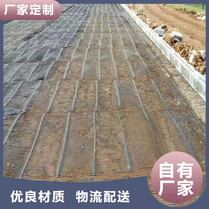 单向塑料土工格栅PVC防水卷材真材实料加工定制