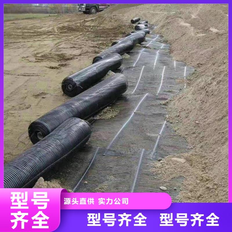 单向拉伸塑料土工格栅直销_单向塑料土工格栅厂家