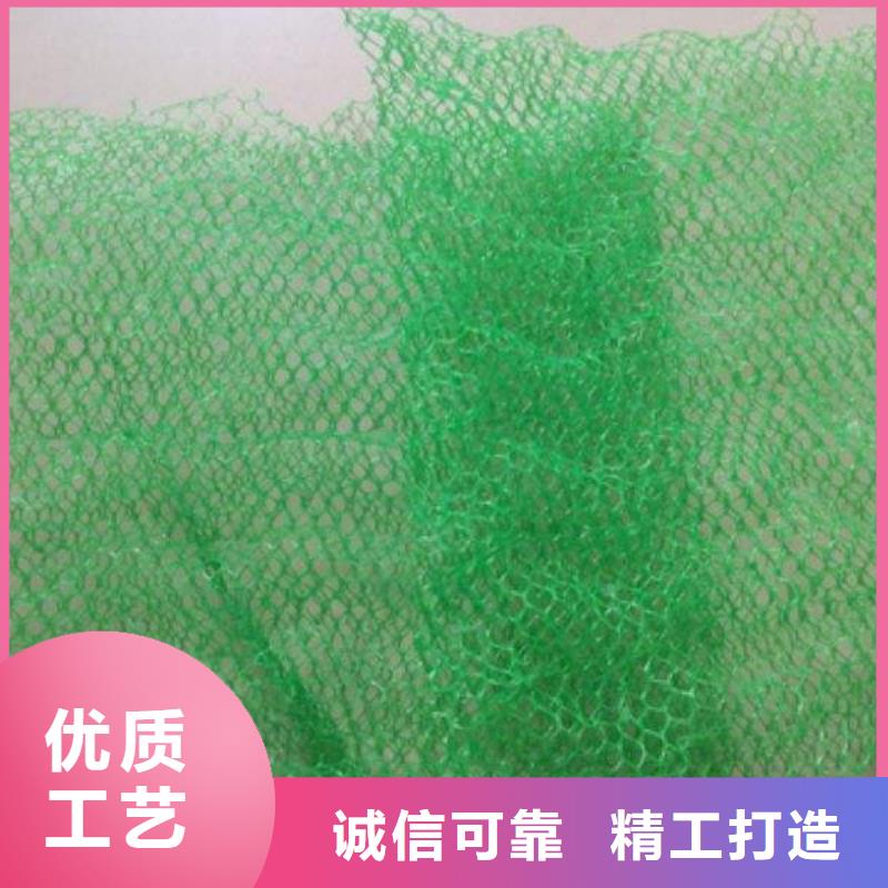 三维植被网【长丝土工布】多行业适用