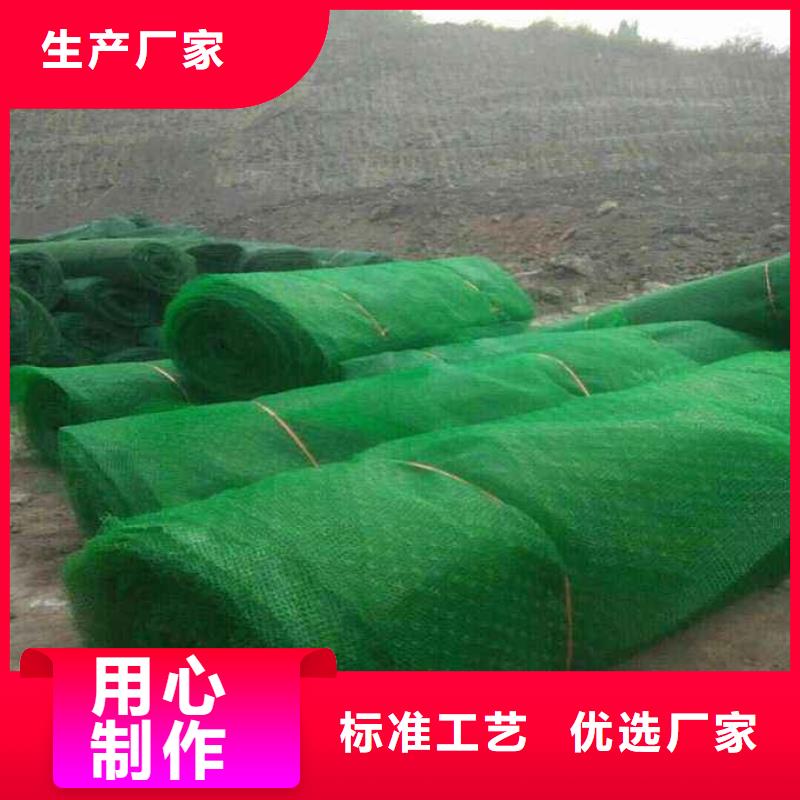 三维植被网双向塑料土工格栅现货齐全售后无忧