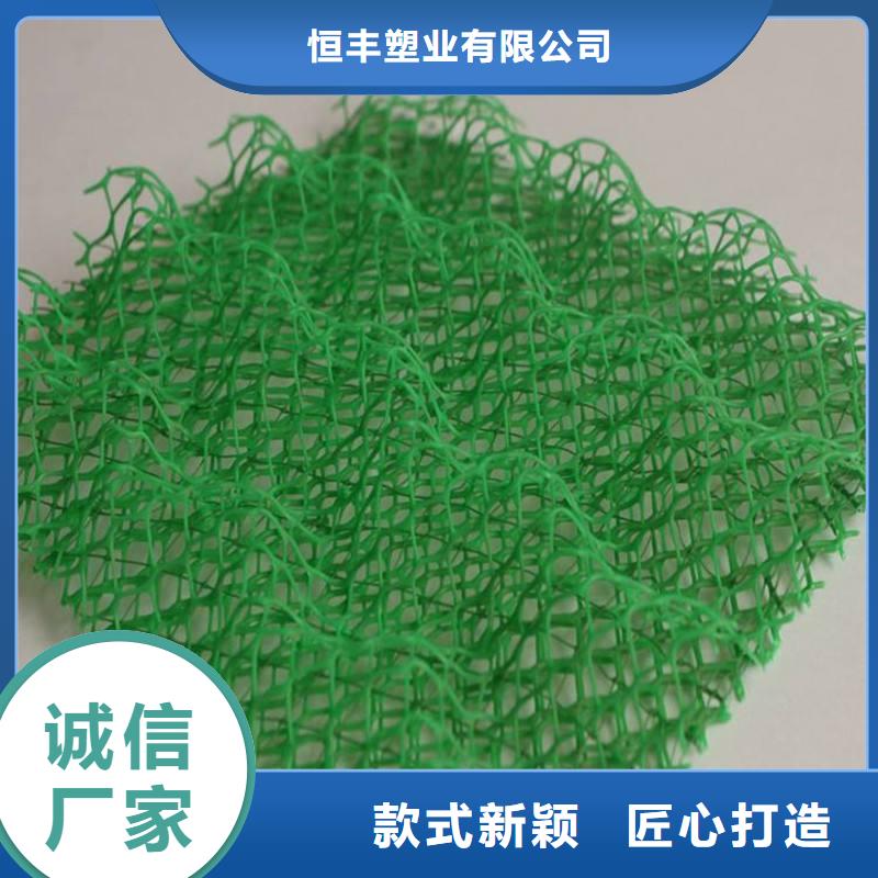 质量上乘(恒丰)三维植被网三维复合排水网技术先进
