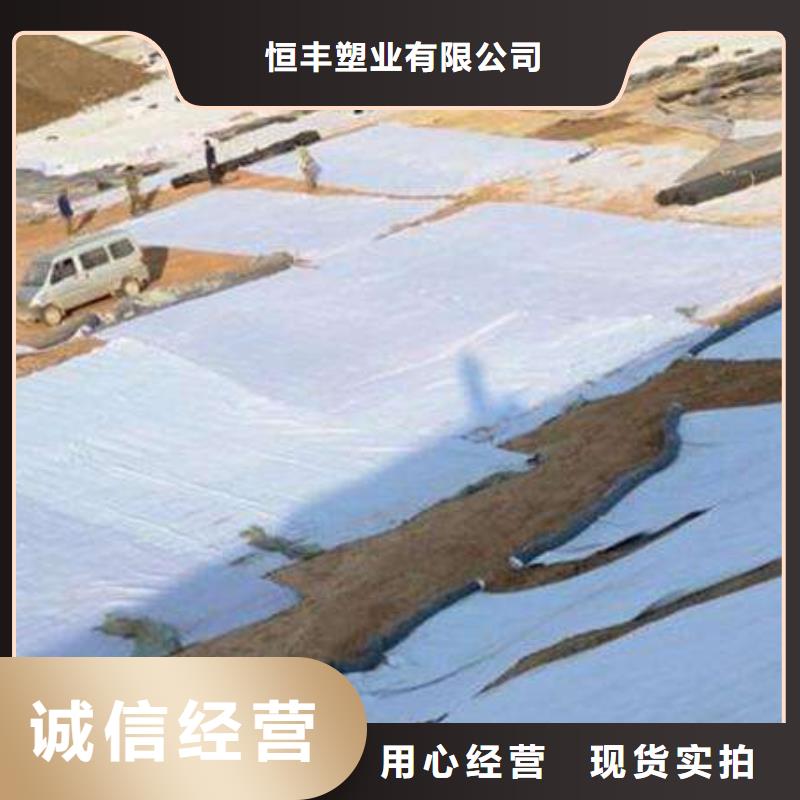 2024膨润土防水毯质优价廉-型号全-发现货