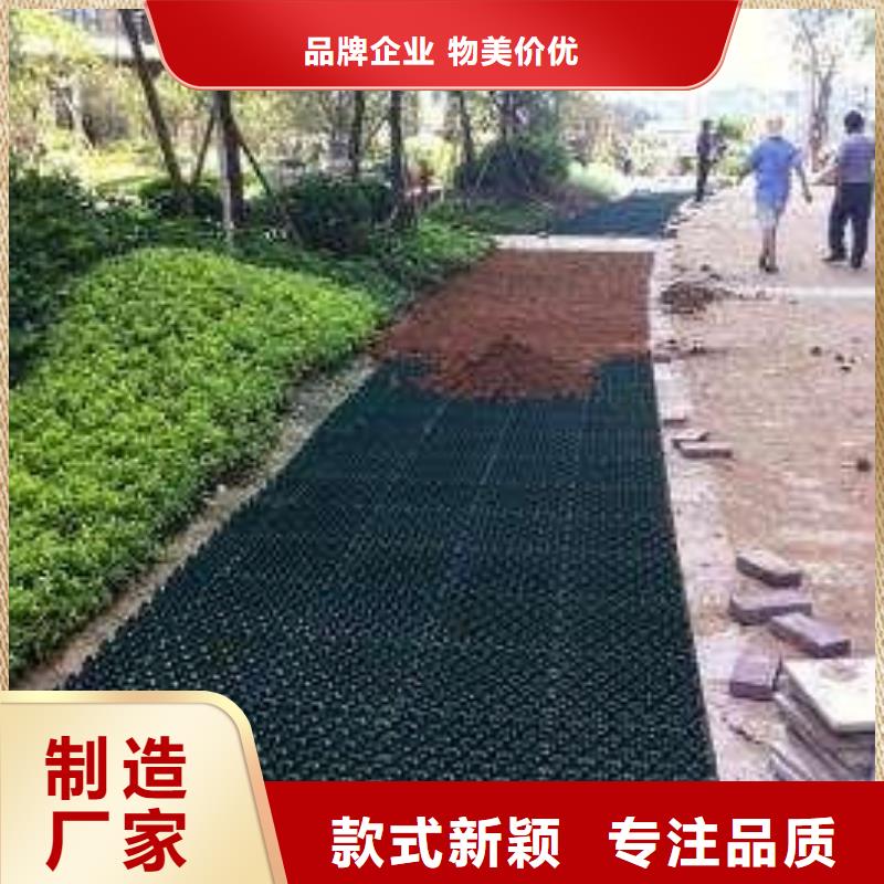 植草格【PP焊接土工格栅】标准工艺