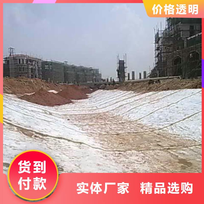 隧道膨润土防水毯规格型号齐全/可定制