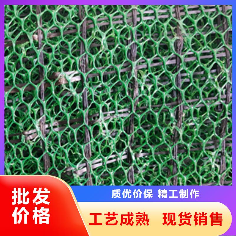 塑料三维植被网应用及领域