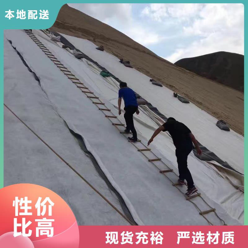 【三维复合排水网双向土工格栅多种规格可选】