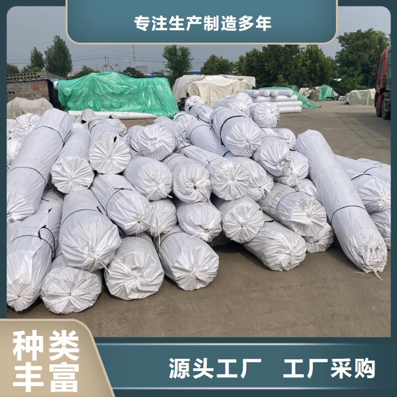 双向土工格栅钢塑格栅生产厂家