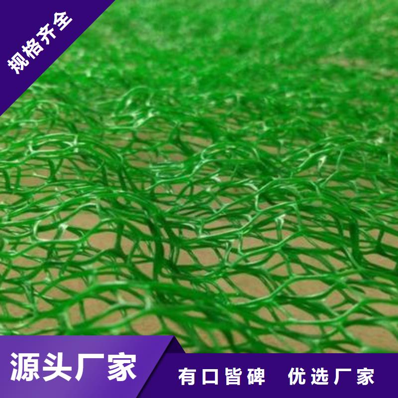 三维植被网厂家三维网垫价格生产厂家