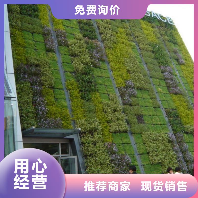 三维植被网【复合土工膜】拒绝差价