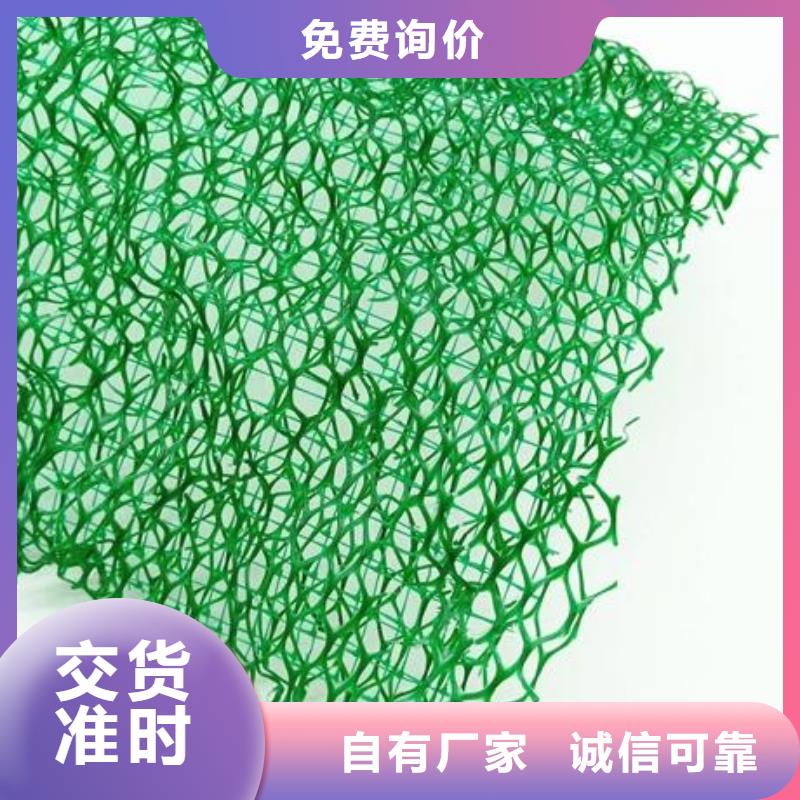 优选(鼎诺)三维植被网单向拉伸塑料格栅出厂严格质检