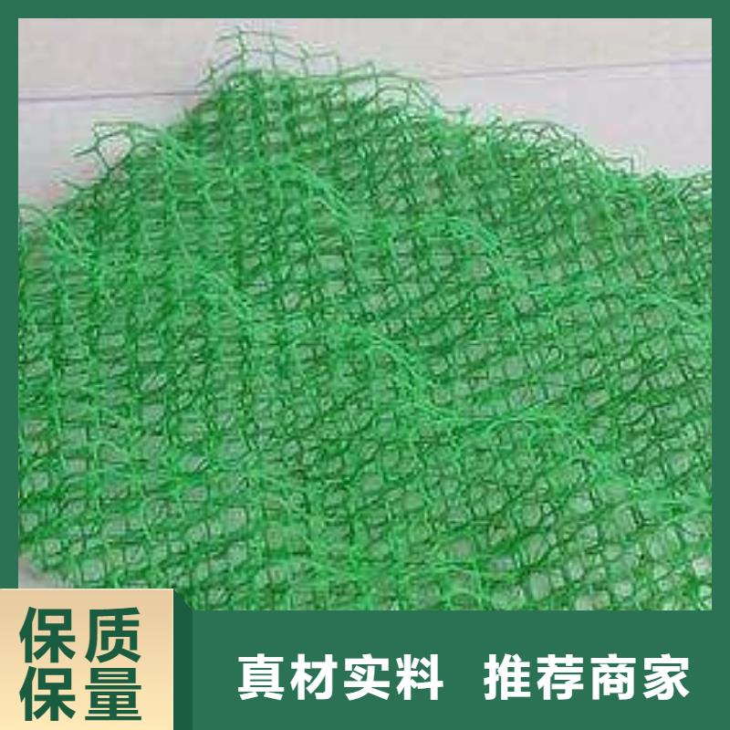 优选(鼎诺)三维植被网单向拉伸塑料格栅出厂严格质检