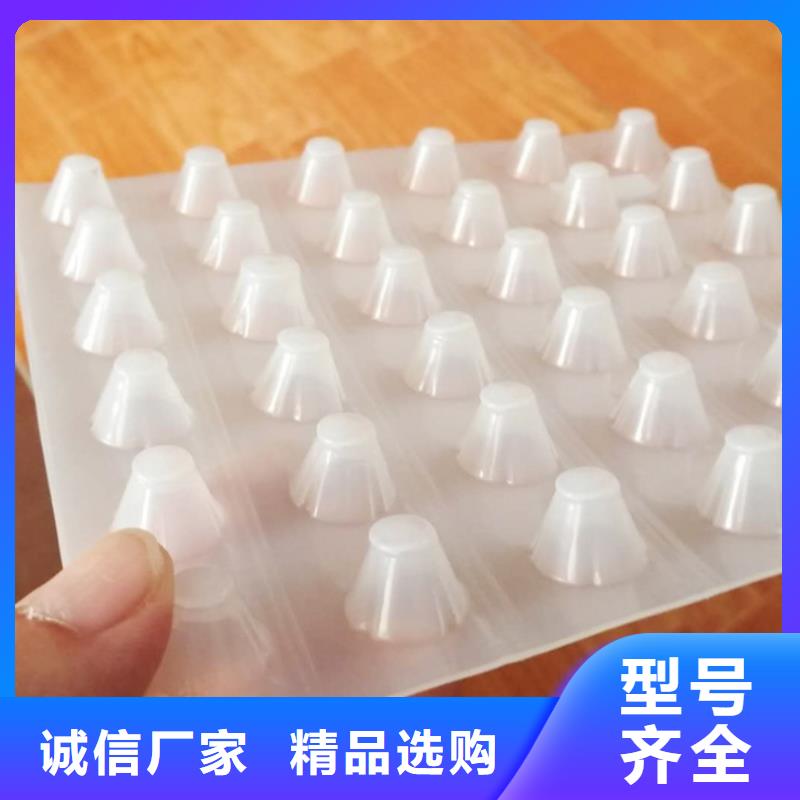 塑料排水板【防水土工布厂家】用心做好每一件产品