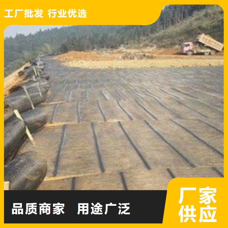 经编涤纶土工格栅厂家防渗反滤道路养护环保防尘