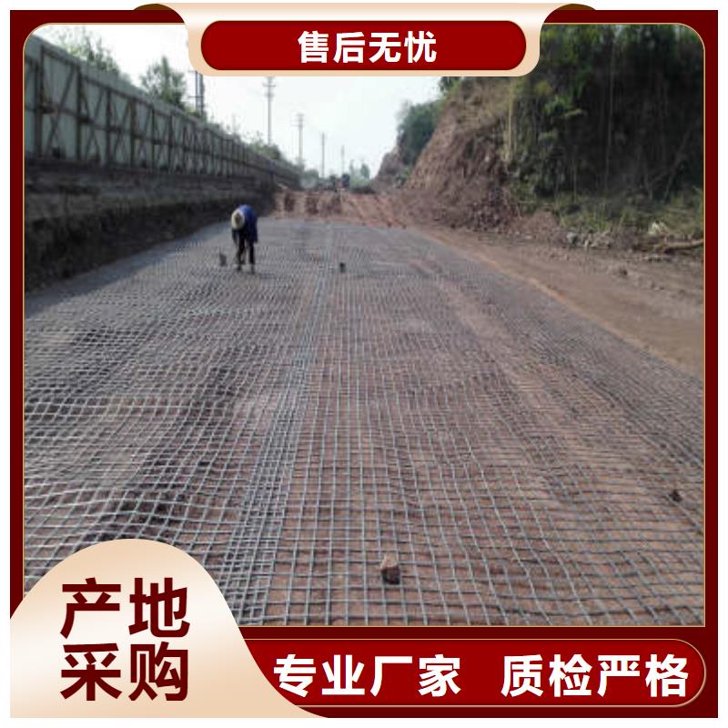 万宁市经编涤纶土工格栅厂家防渗反滤道路养护环保防尘