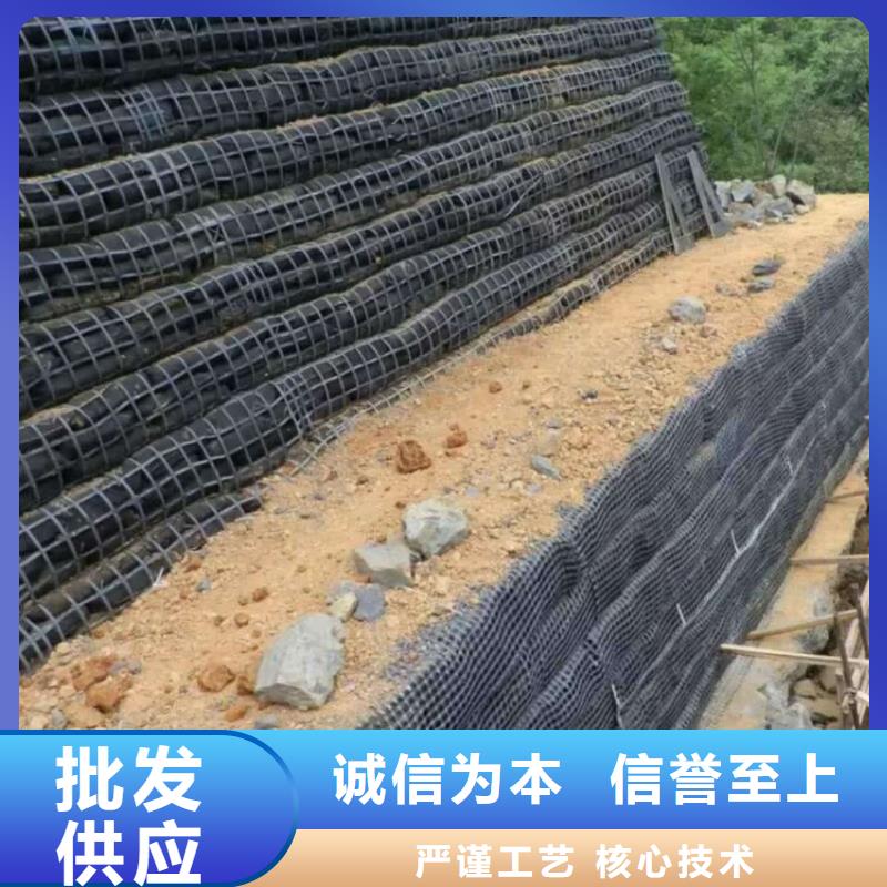 经编涤纶土工格栅厂家防渗反滤道路养护环保防尘