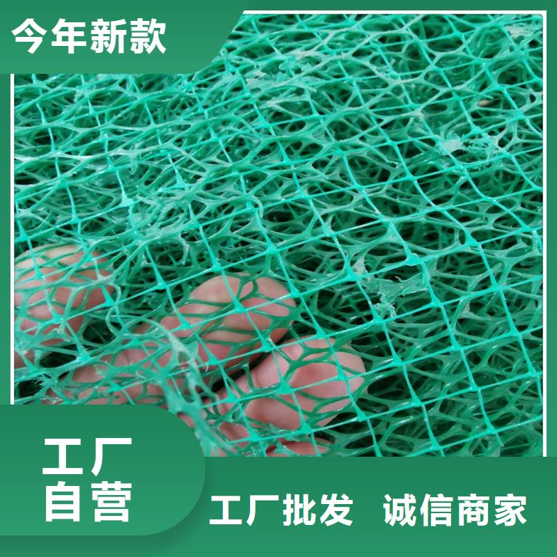 三维植被网厂家_规格齐全