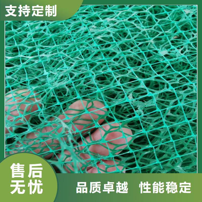 【三维植被网涤纶土工格栅丰富的行业经验】