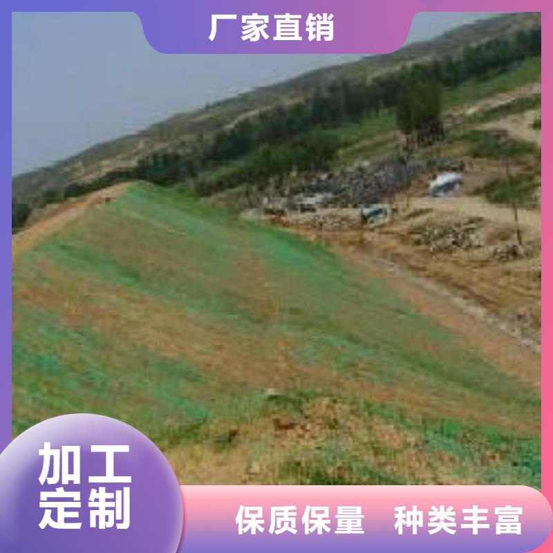 【三维植被网_双向塑料土工格栅支持大小批量采购】