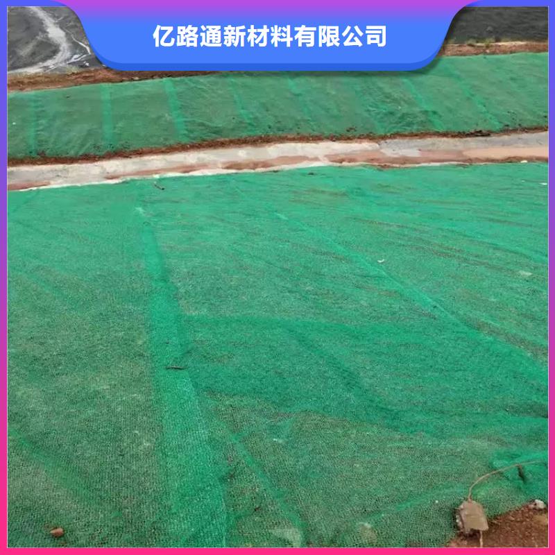 三维土工网垫_三维植被网2024年价格表