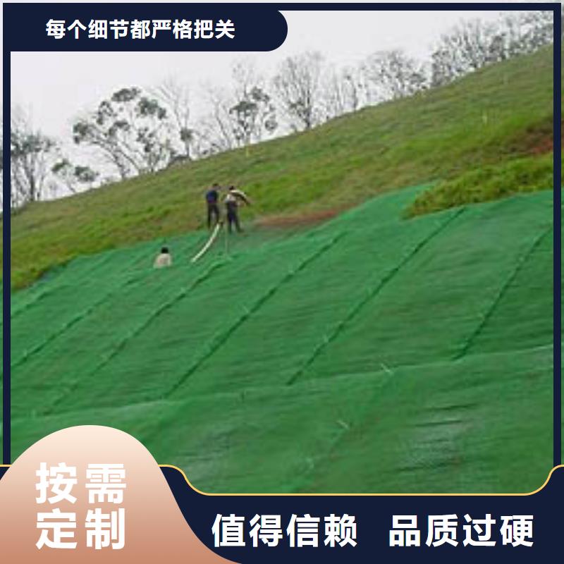 护坡种草三维植被网生产厂家收费标准